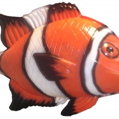 fish-4